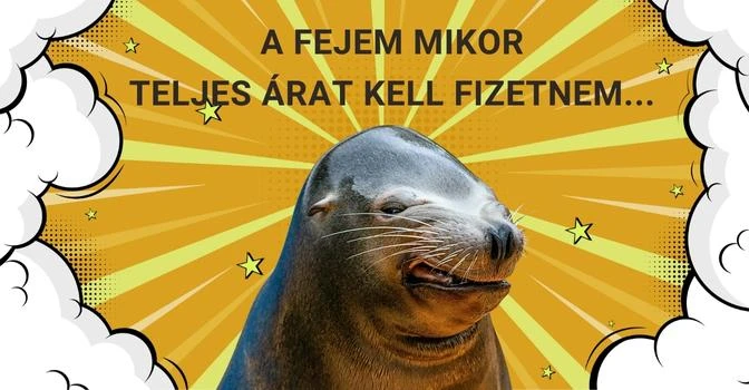 Betyár Jó Cuccok Webáruház