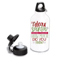 Santa, how much do you know - Fémkulacs