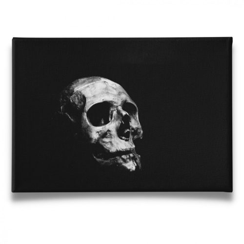 Dark Skull - Vászonkép