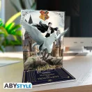 Harry Potter akril dioráma figura Harry & Buck in Hogwarts