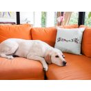 Magyar Kalocsai - Párna