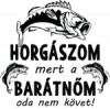 Minta választása