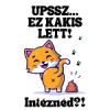 Minta választása