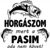 Minta választása