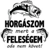 Minta választása