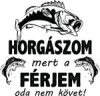Minta választása